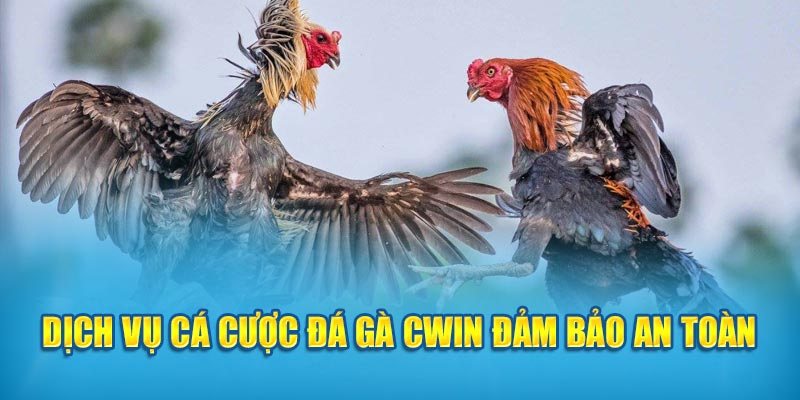 Dịch vụ CWIN đá gà tốt nhất việt nam, an toàn và bảo mật