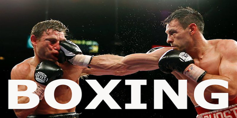 Theo dõi những màn so găng Boxing đẳng cấp thế giới 