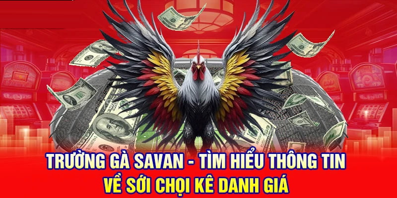 Vài điều mà bạn cần biết về thánh địa đá gà Savan