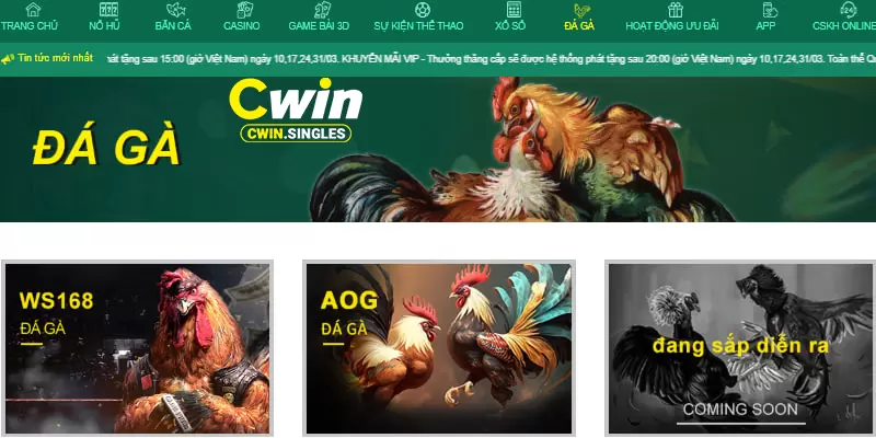 Sảnh đá gà hấp dẫn tại nhà cái Cwin